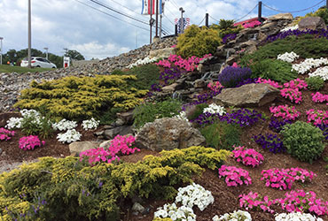 image_01