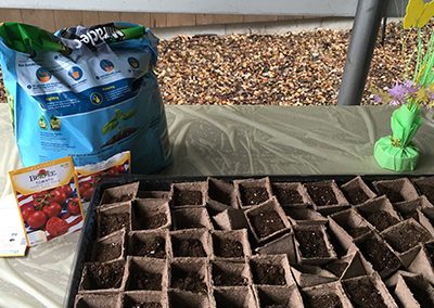 small plantings
