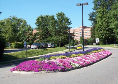 landscaping with flower beds
