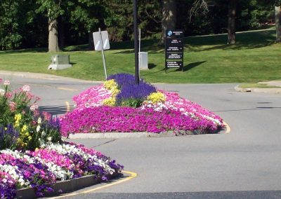 landscaping with flower beds