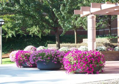 landscaping with flower beds