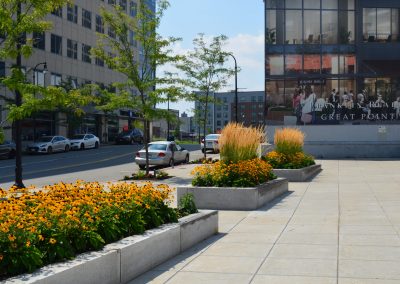 landscaping with flower beds