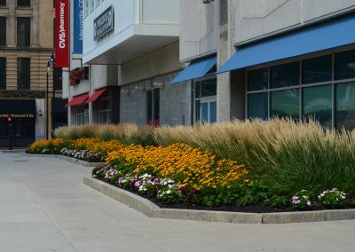 landscaping with flower beds
