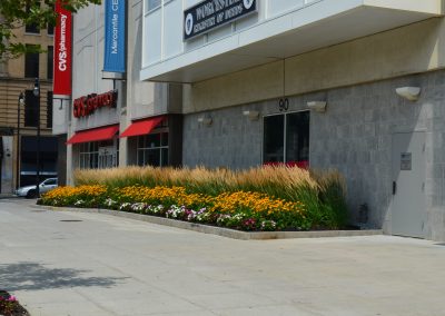 landscaping with flower beds