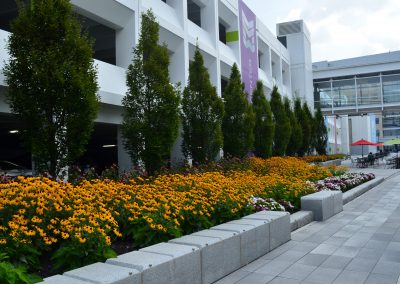 landscaping with flower beds