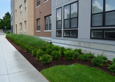 landscaping with flower beds
