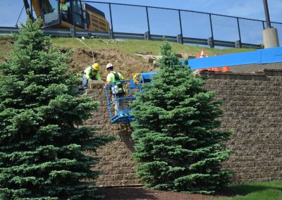 landscaping development