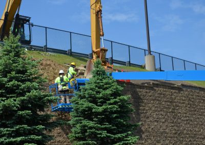 landscaping development