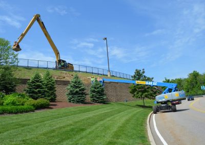landscaping development