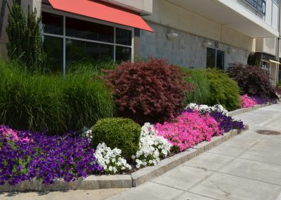 landscaping with flower beds