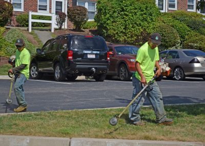 landscaping