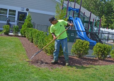 landscaping