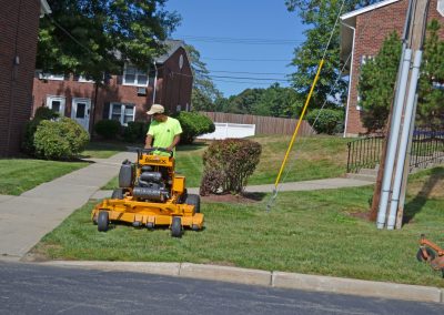 lawn mowing services