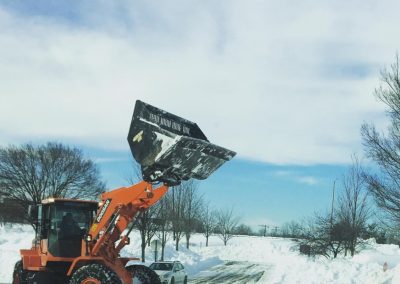 snow management and removal