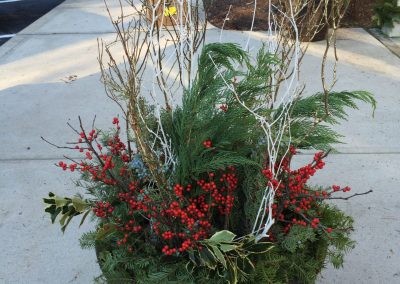 plant and flower arrangement