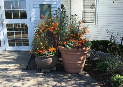 flower beds