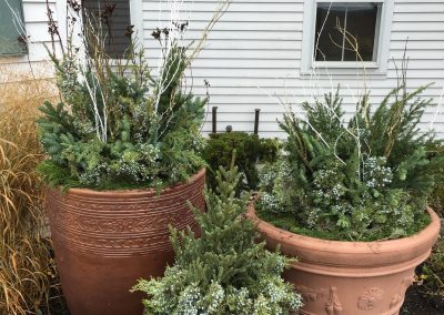 plantings