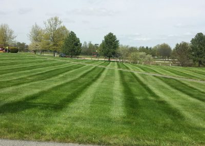landscaping project