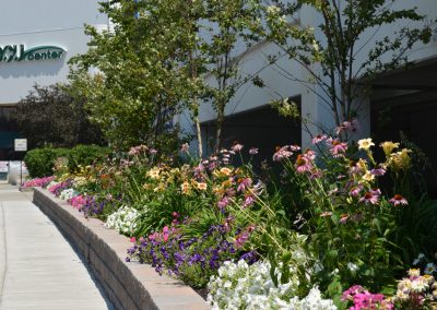 landscaping flowers DCU Center Worcester