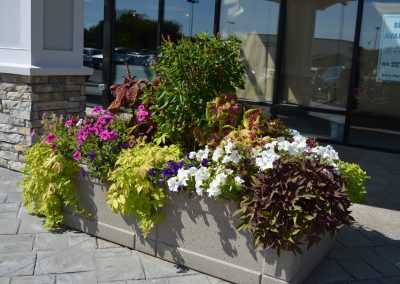 landscaping flowerbed