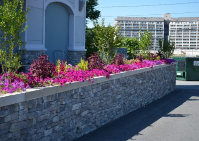 landscaping flowers