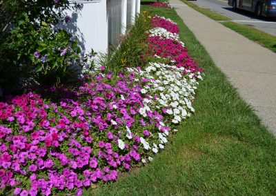 landscaping project