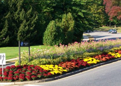 landscaping project