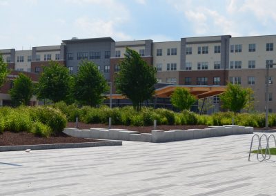 Landscape Development