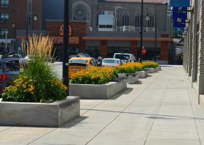 Landscape Development Worcester