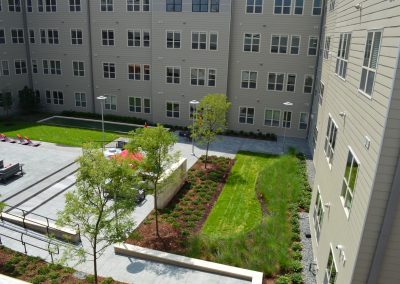 Landscape Development