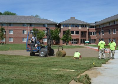 Landscape Development