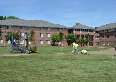 Landscape Development