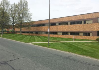 landscaping project