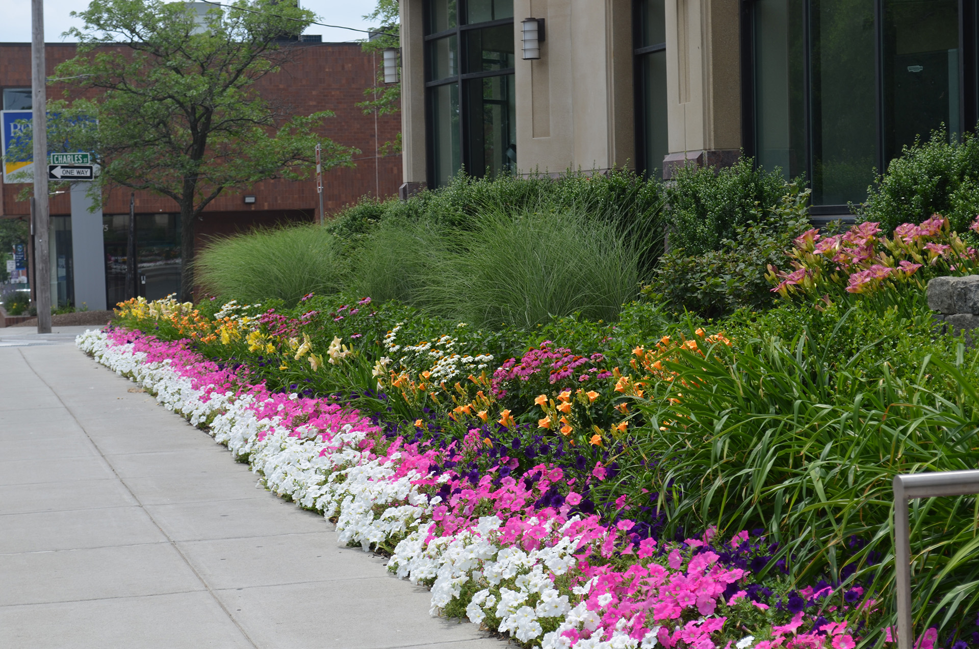 Landscape Management
