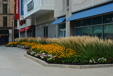 lei-landscape-management