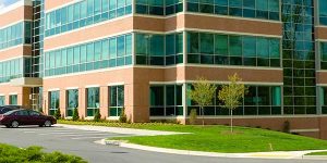 landscaping for commercial building