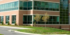 landscaping for commercial building