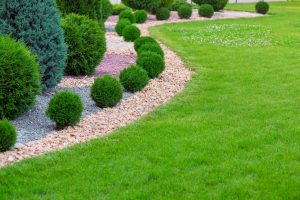 Landscape Management