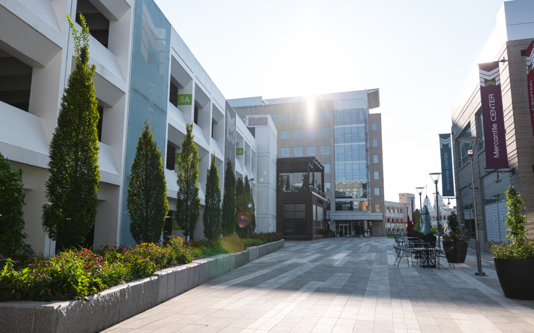 The Best Time to Renovate the Landscape of Your Commercial Property