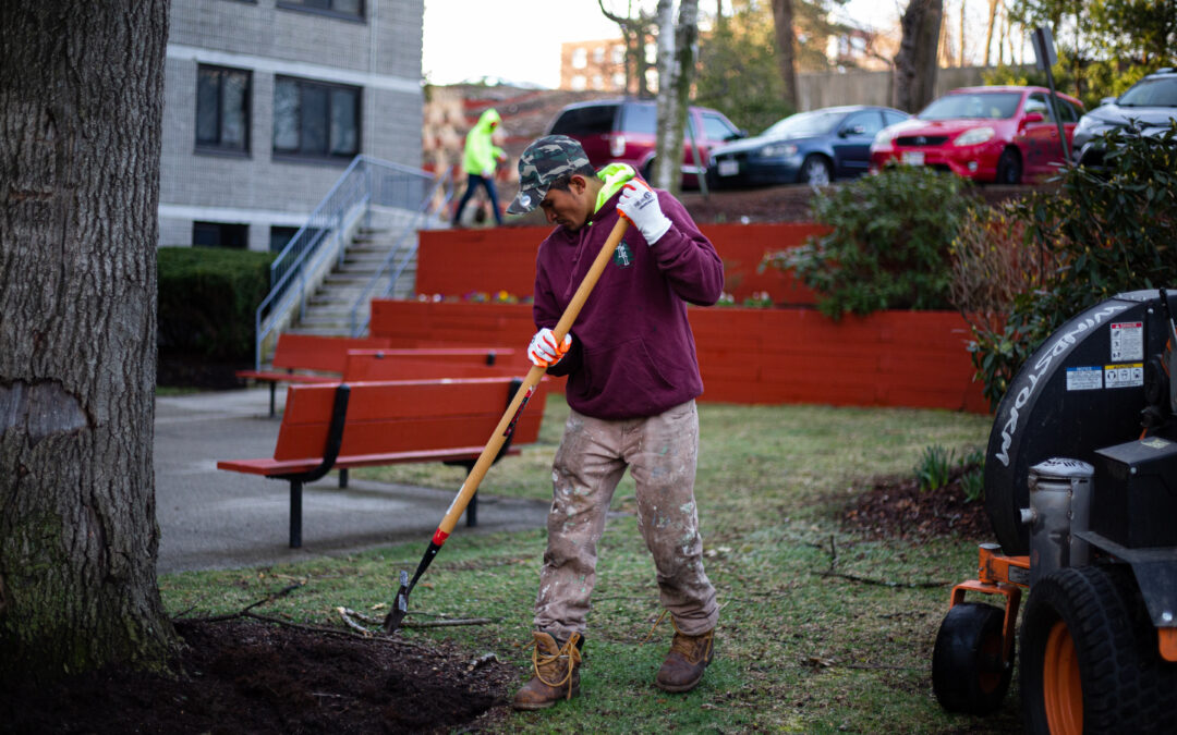 5 Ideas to Enhance your Commercial Landscape in Winter