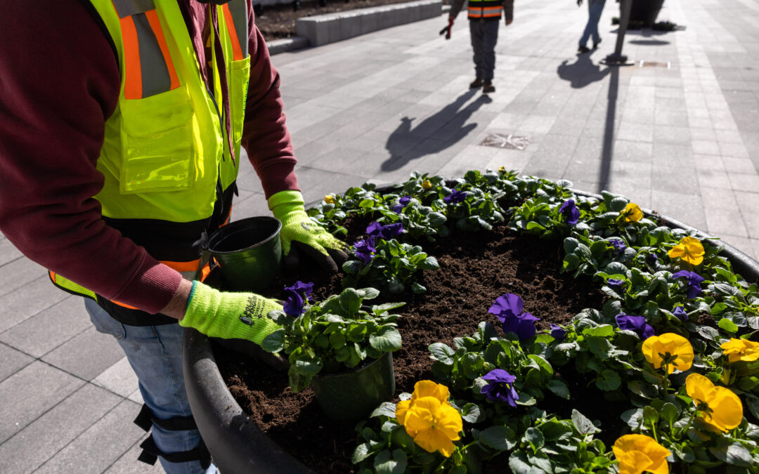 How to Prepare your Commercial Landscape for Spring