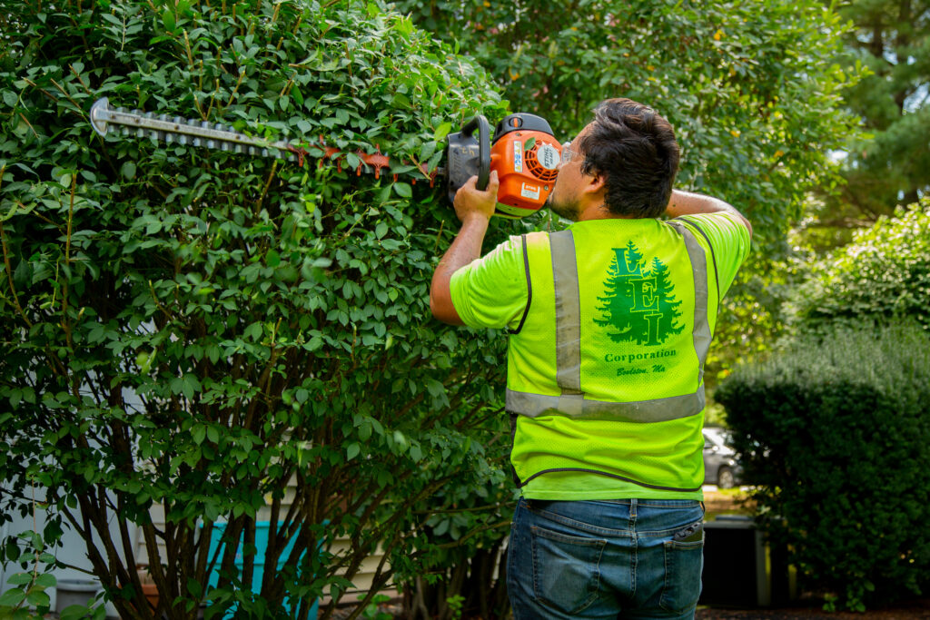 A man wearing a bright green LEI Corporation work uniform trims a green hedge using a red hedge trimmer.