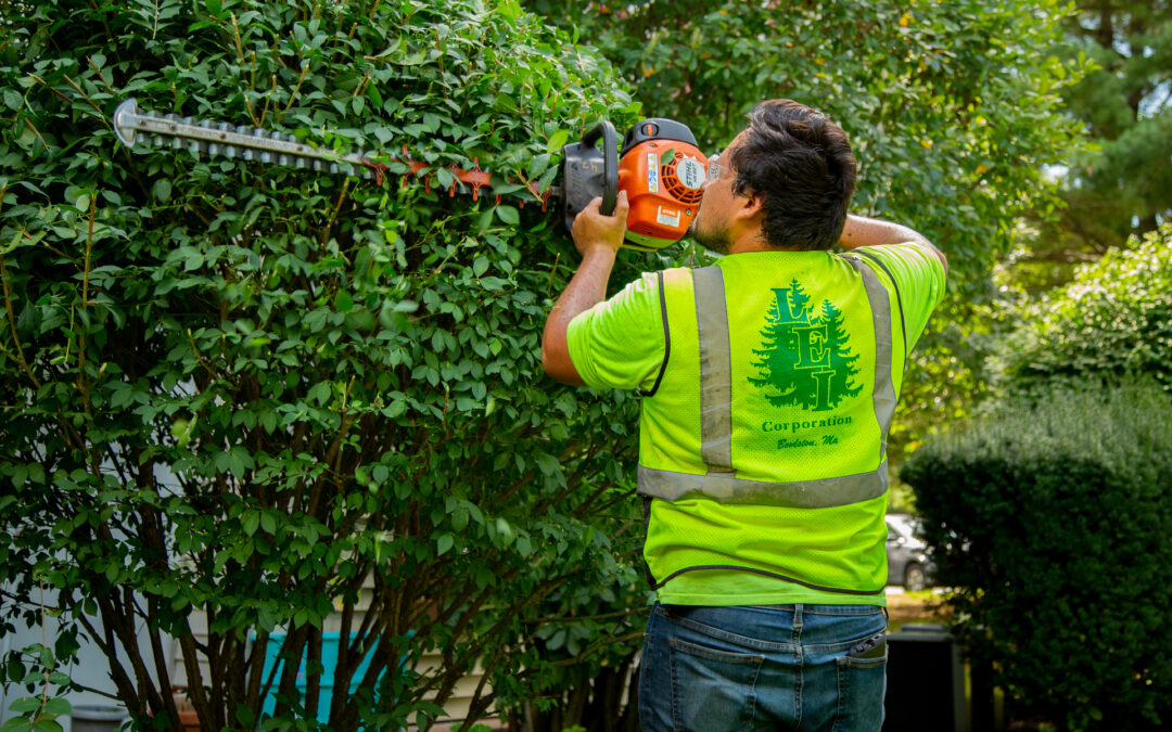 How to Keep Your Commercial Landscape Beautiful During Season Changes