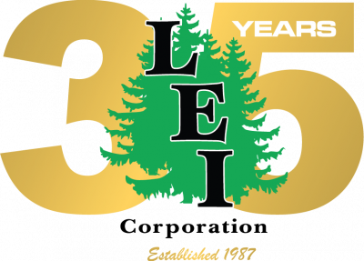 LEI_35_logo-min